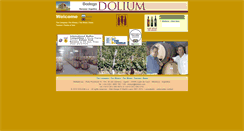 Desktop Screenshot of dolium.com